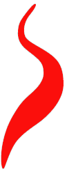 Rood logo