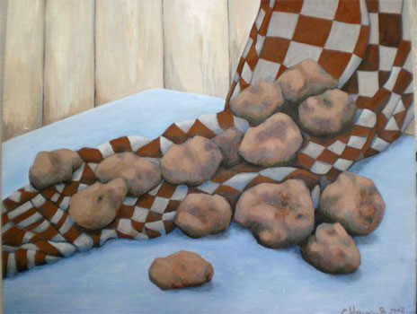 Willemina Bakkenes