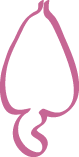 zaad en vrucht logo
